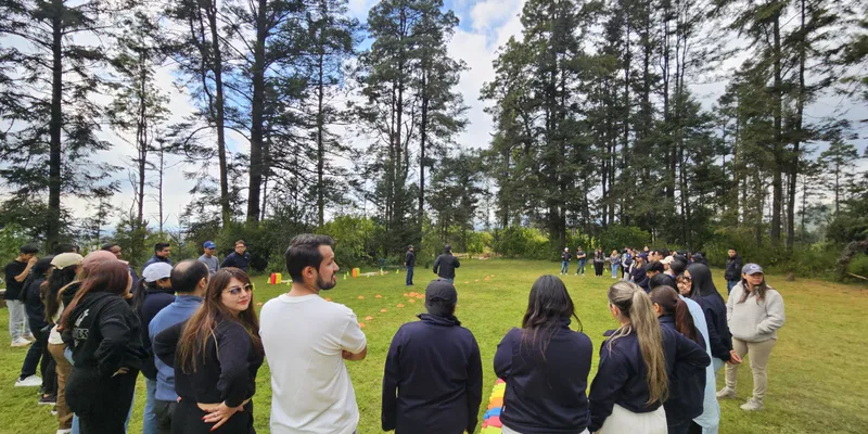 Grupo empresarial participando en team building outdoor en un espacio natural rodeado de árboles